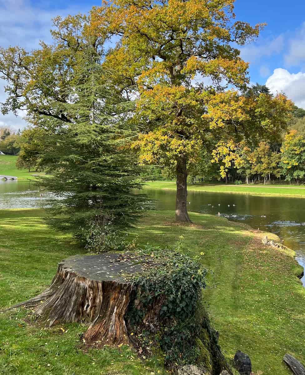 Surrey, Painshill Park Surrey, Painshill Park
