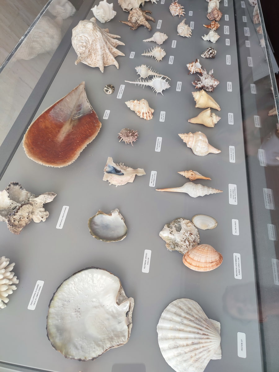 Thalassa Museum Ayia Napa Thalassa Museum Ayia Napa