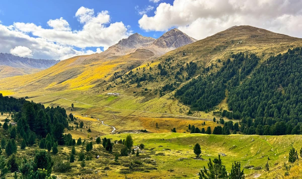 The_Swiss_National_Park_Switzerland1 The Swiss National Park, Switzerland