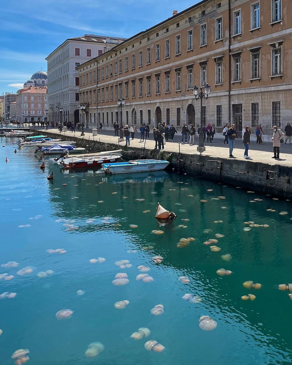 Trieste: Canal Grande Trieste: Canal Grande