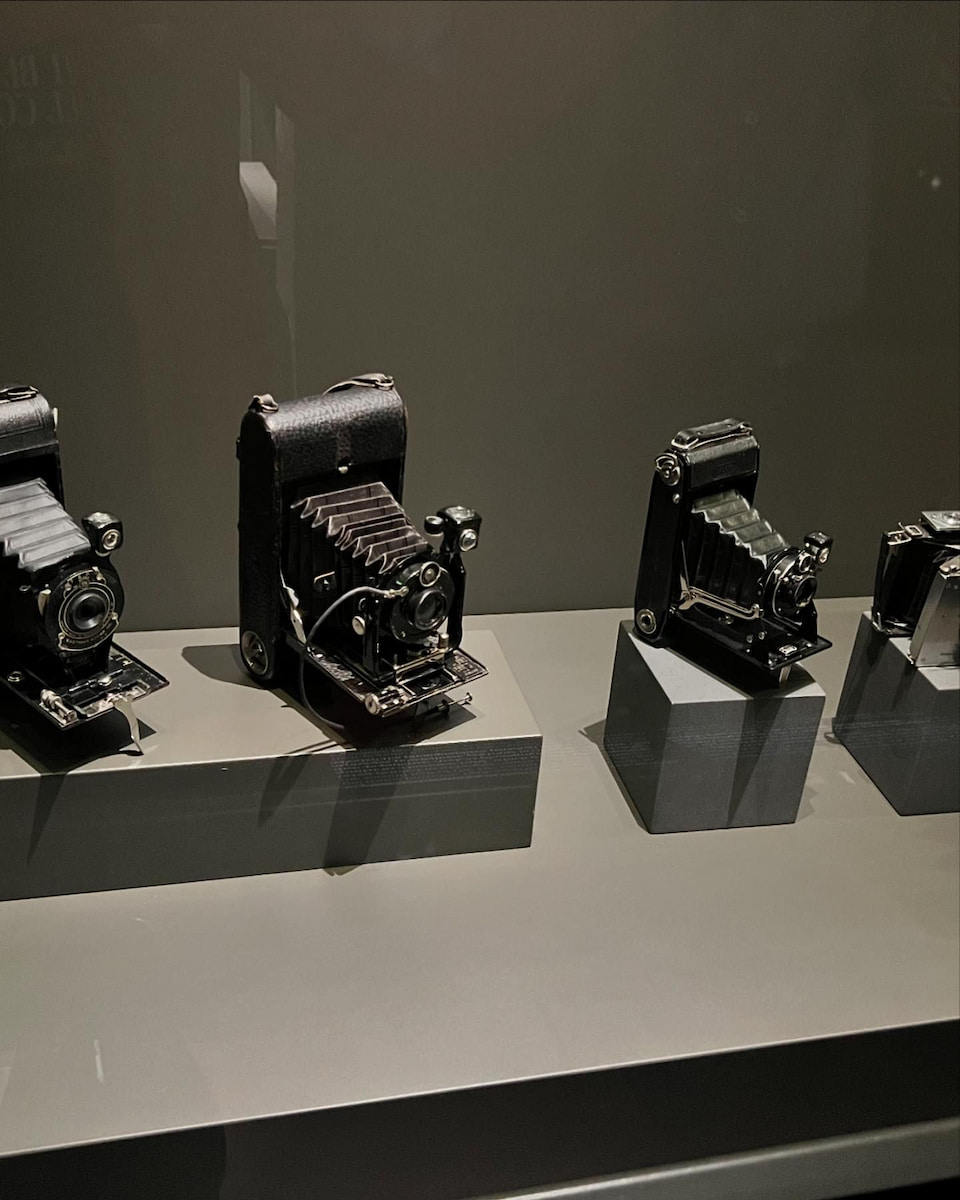 Turin, National Museum of Cinema Turin, National Museum of Cinema