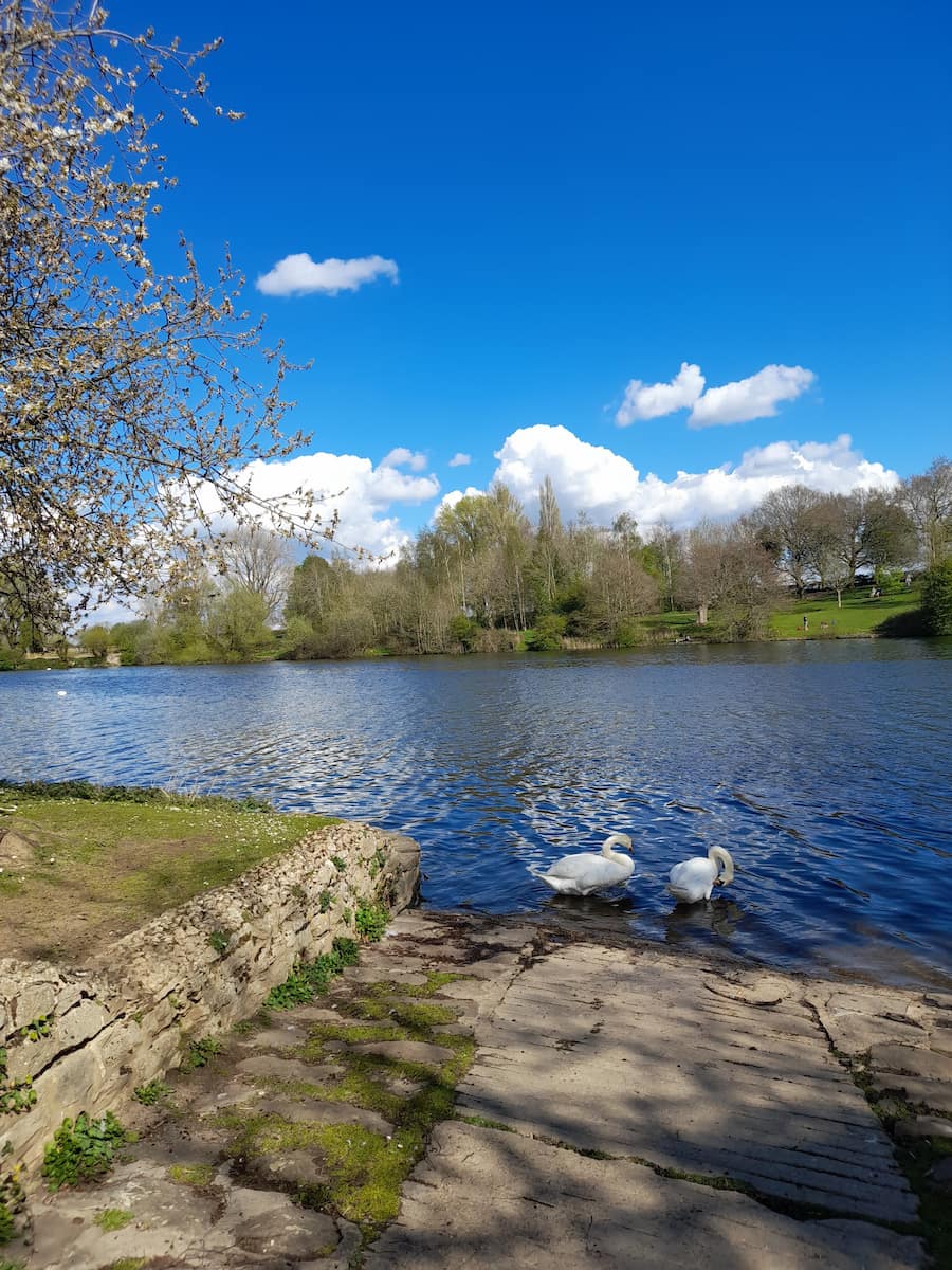 Water Country Park Swindon Water Country Park Swindon