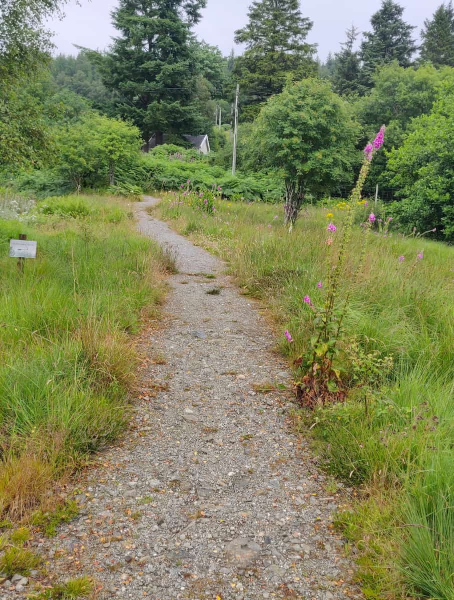West Highland Way Scotland West Highland Way Scotland