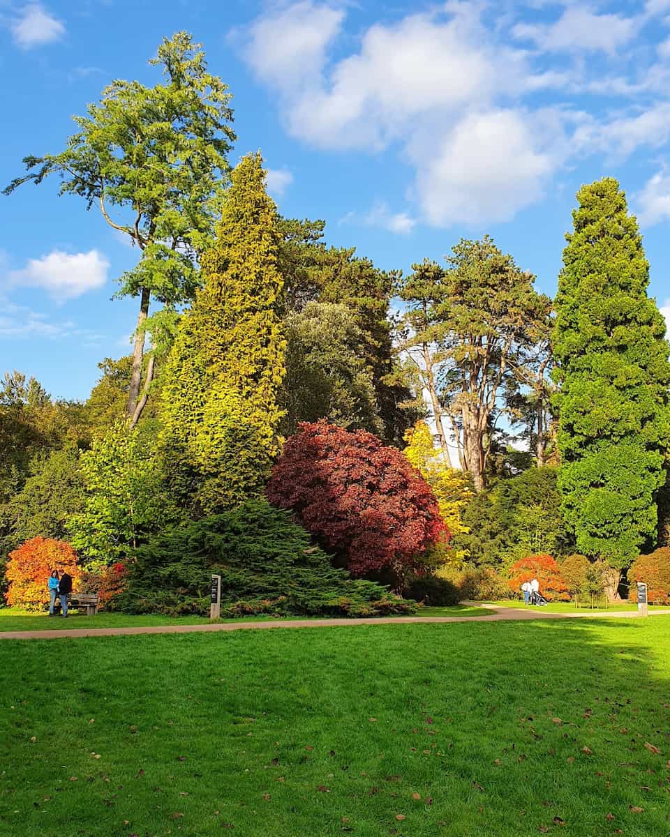 Westonbirt Arboretum Westonbirt Arboretum
