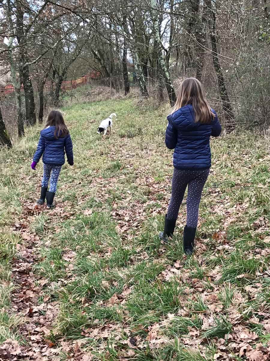 Truffle Hunting in San Miniato Truffle Hunting in San Miniato