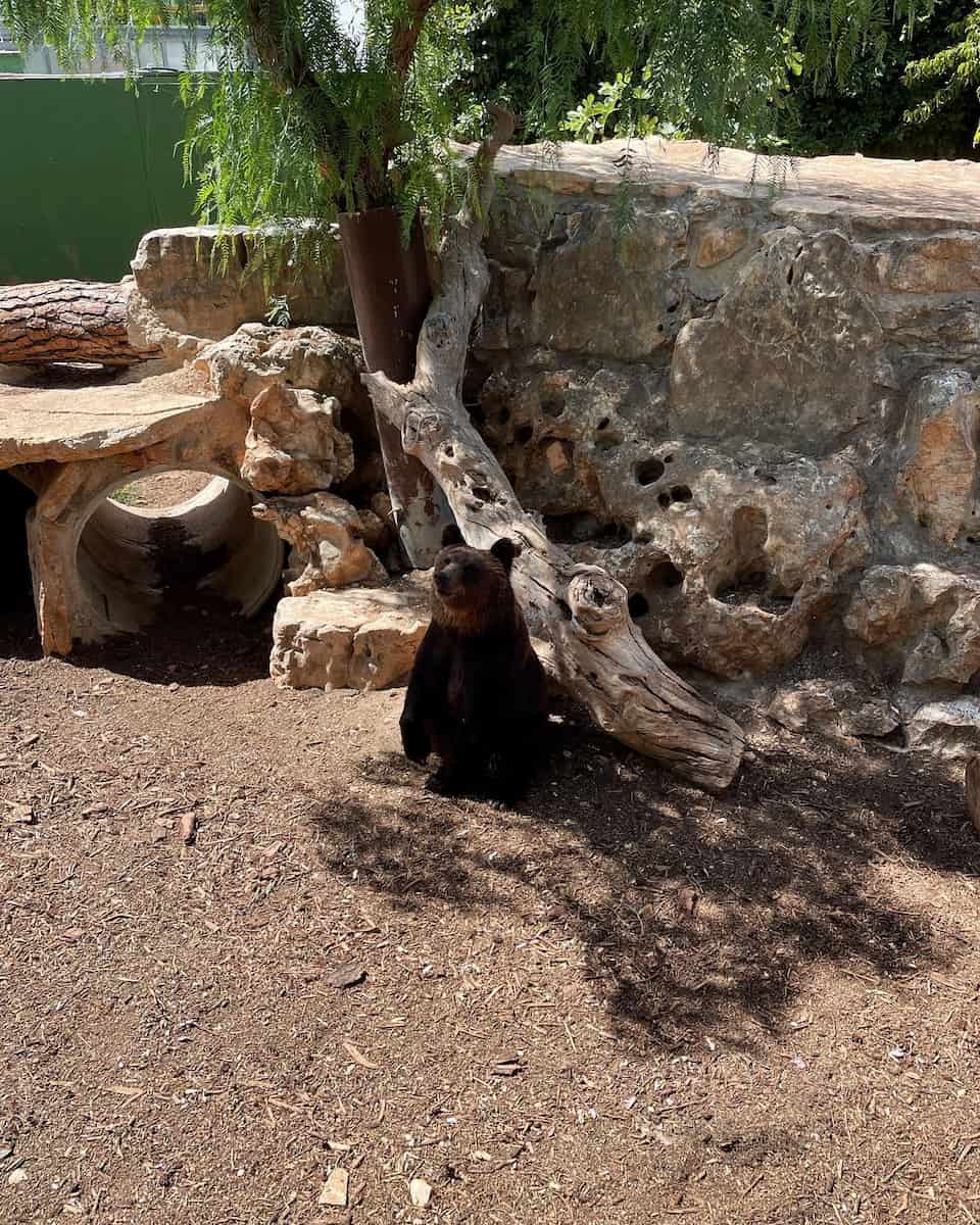 Zoosafari Fasanolandia, Puglia Zoosafari Fasanolandia, Puglia