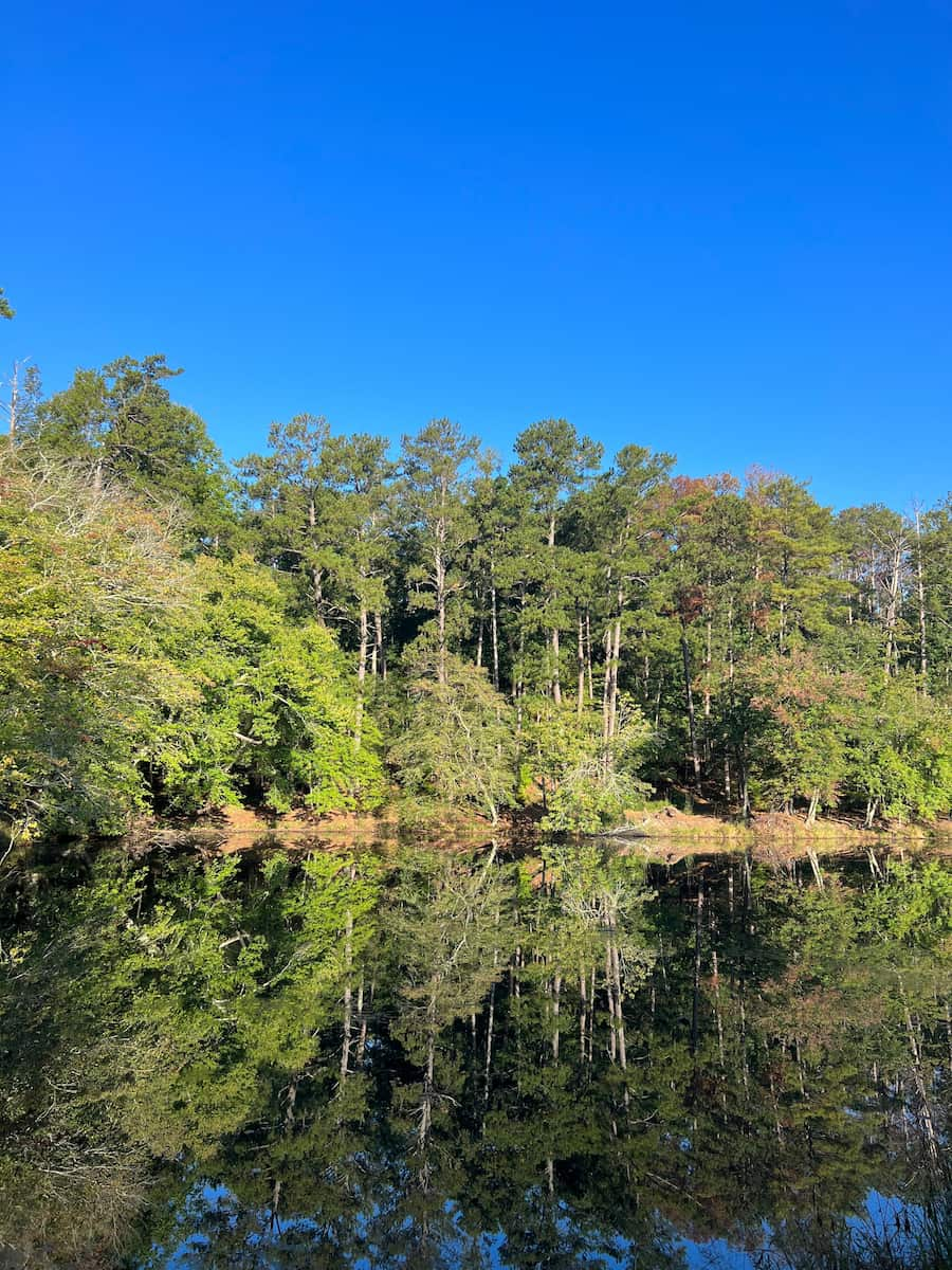 Arabia Mountain National Atlanta