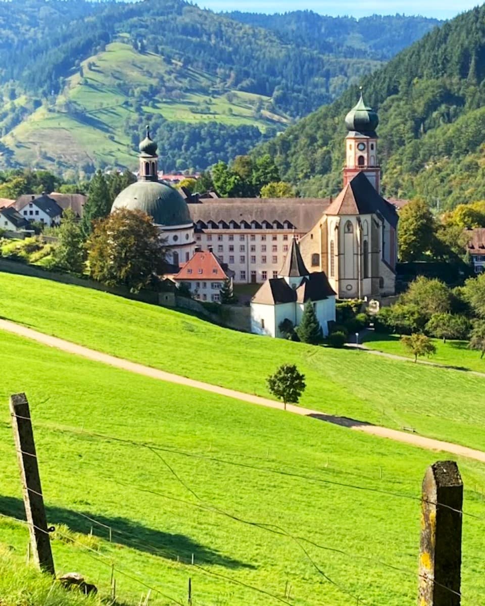 Black Forest, Frankfurt