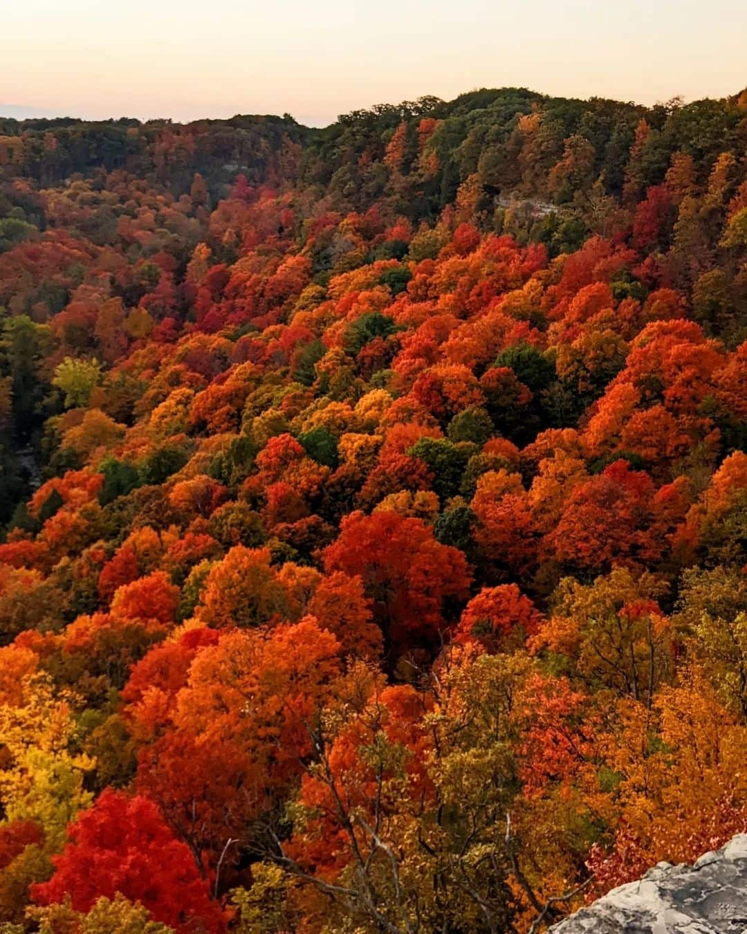 Blue Mountain Fall Season, Canada