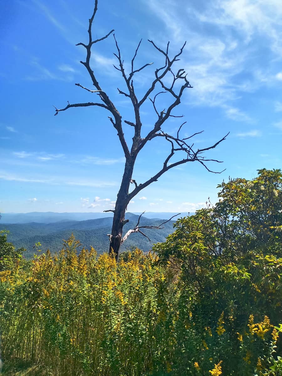 Blue Ridge Parkway