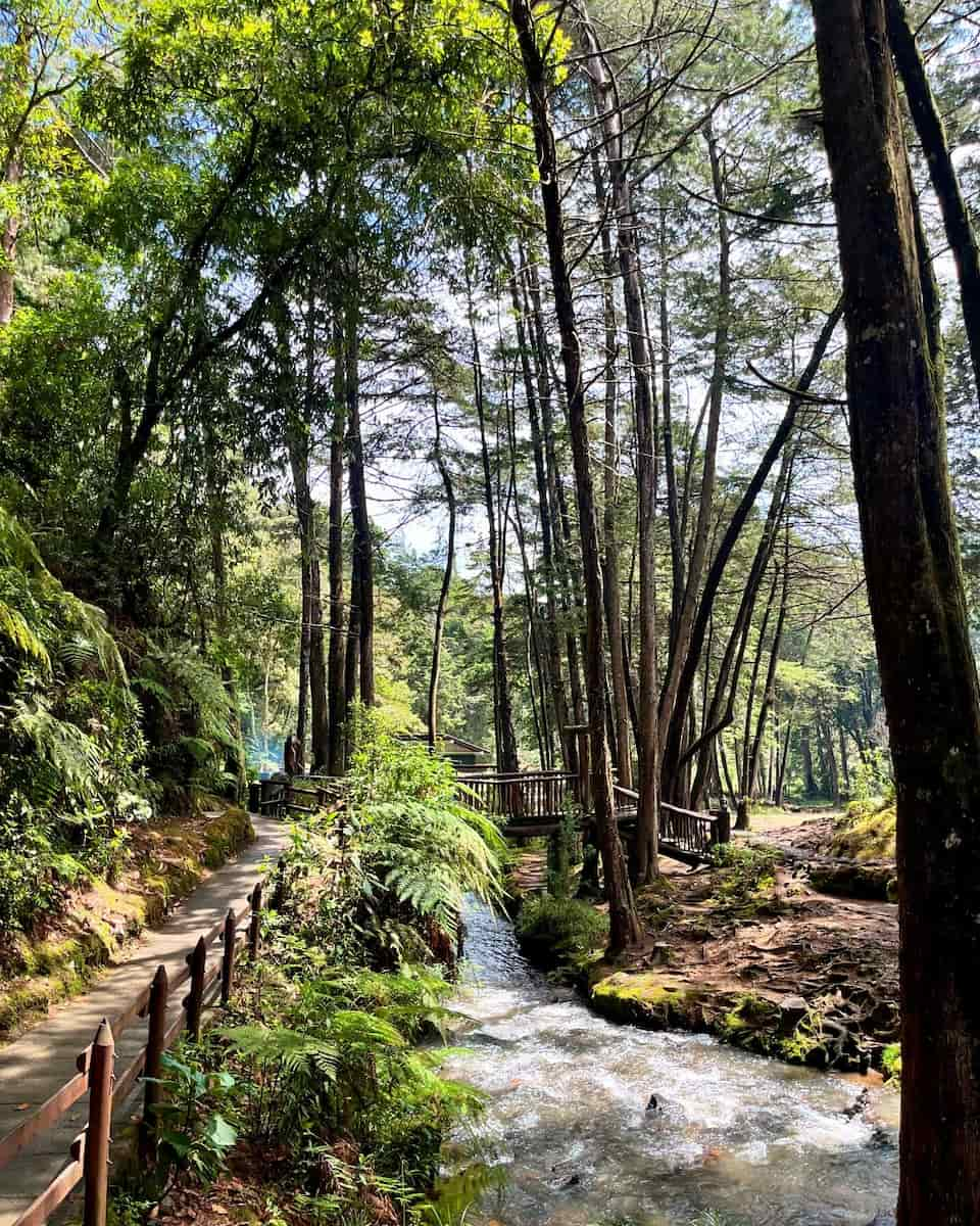 Parque Arvi, Colombia