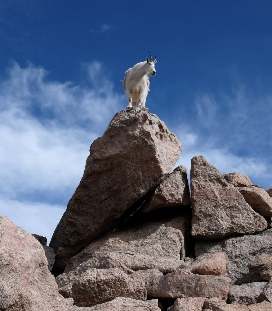 Colorado, Mount Blue Sky