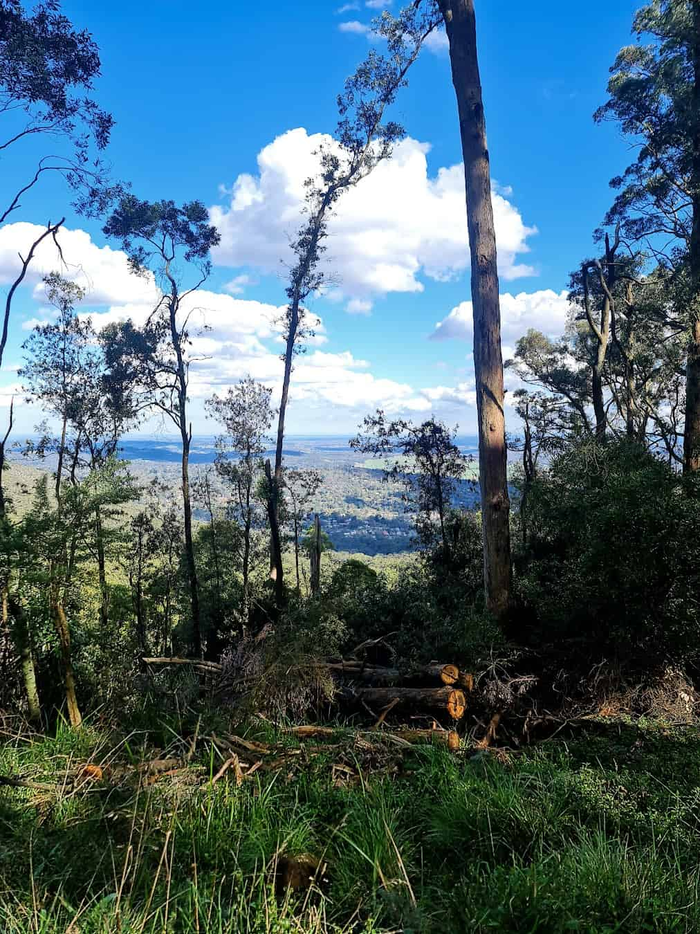 Dandenong Ranges, Australia