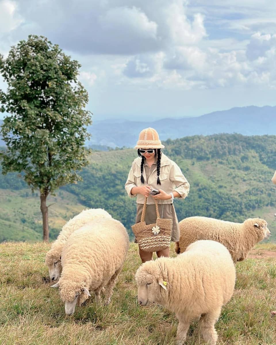 Doi Inthanon National Park, Chiang Mai