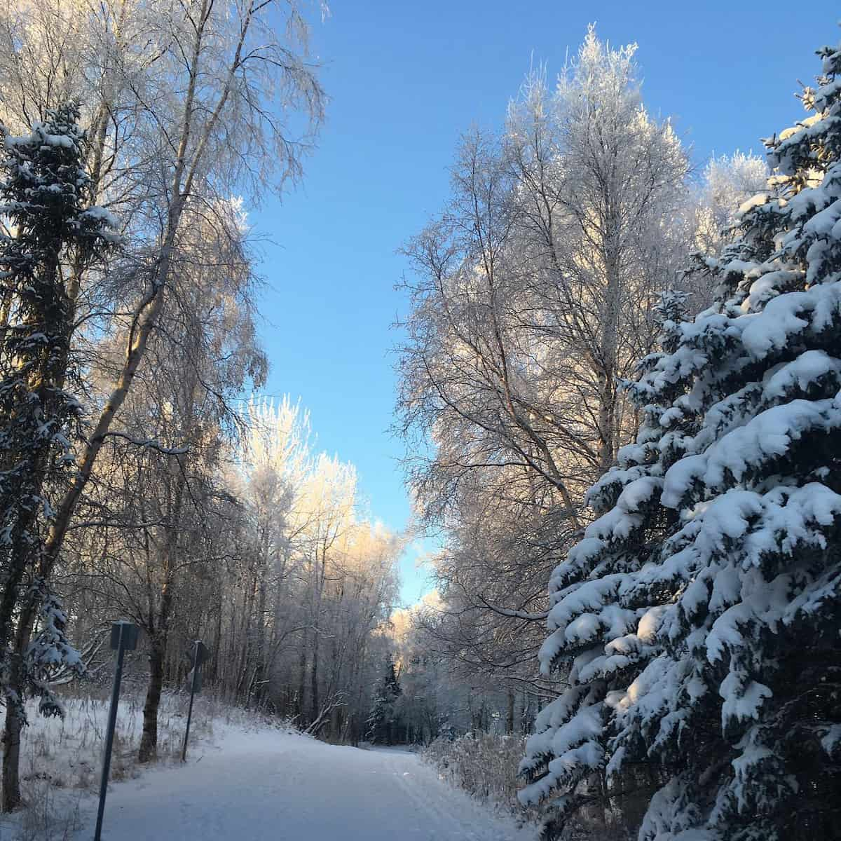 Earthquake Park, Alaska