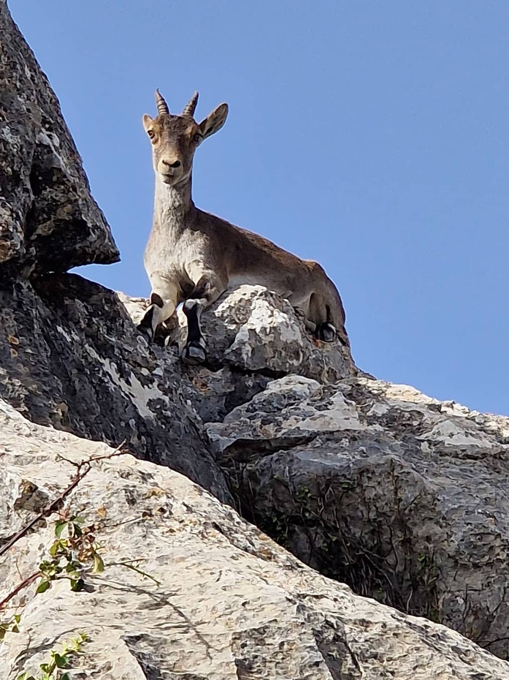 El Torcal de Antequera, Spain