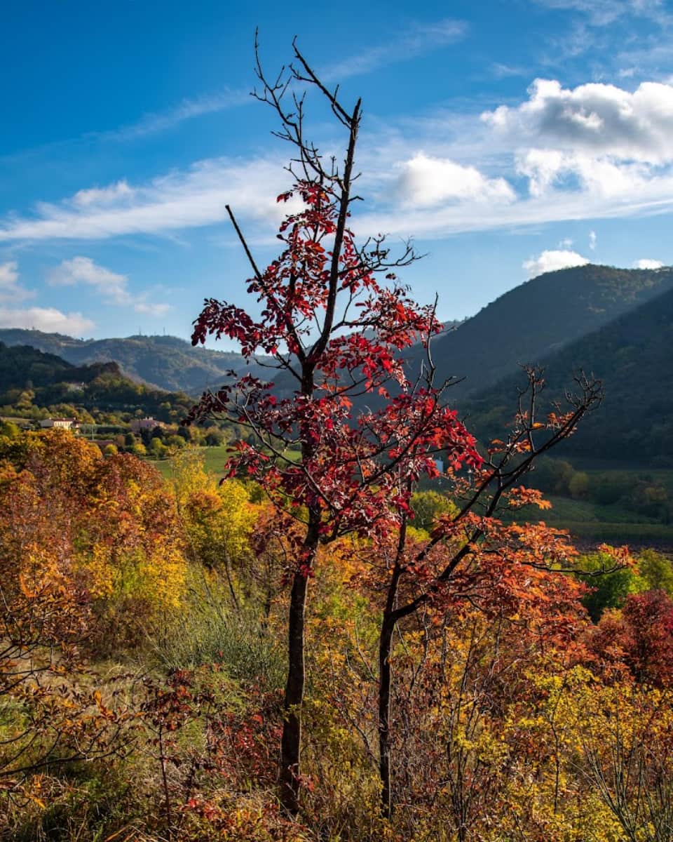 Euganean Hills Euganean Hills