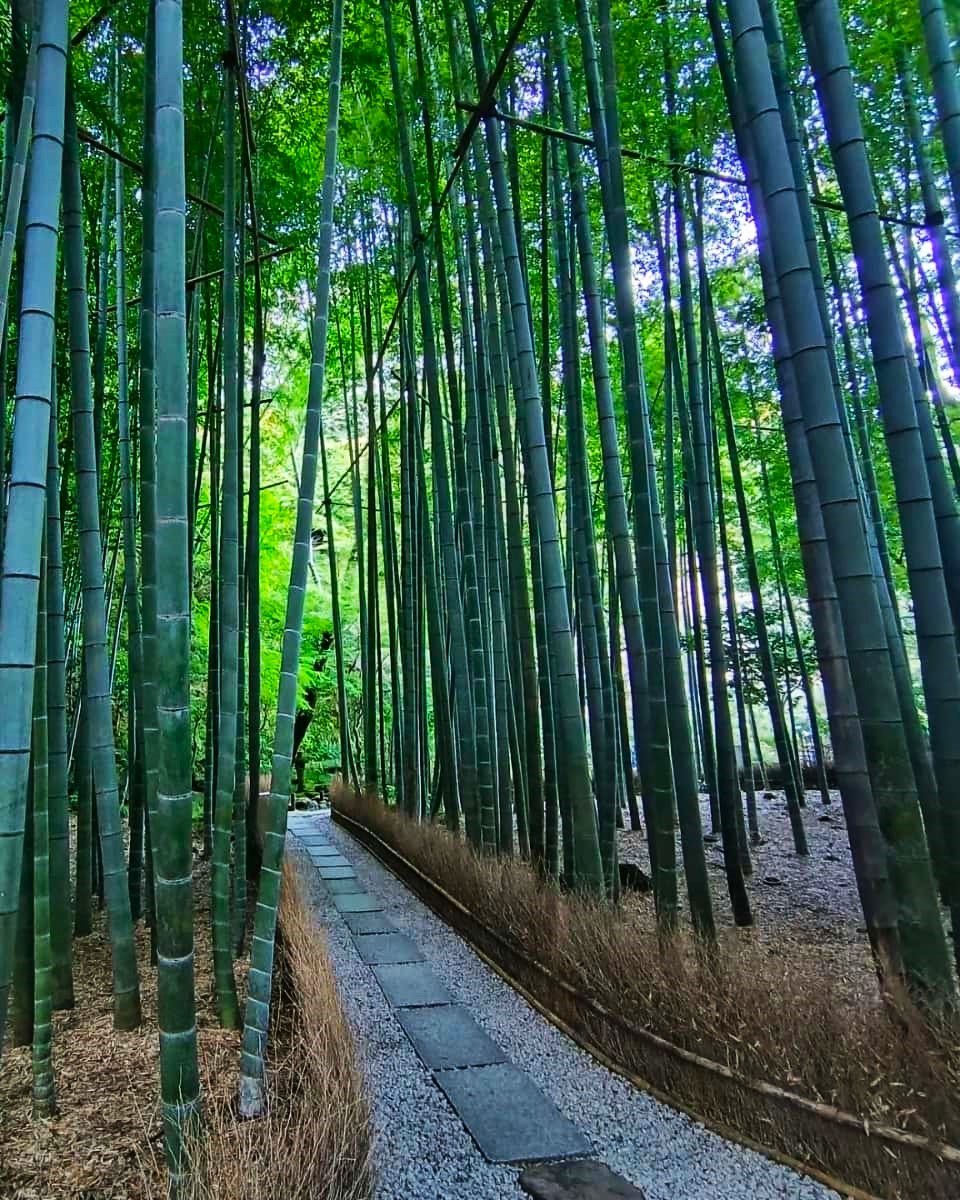 Kamakura, Tokyo