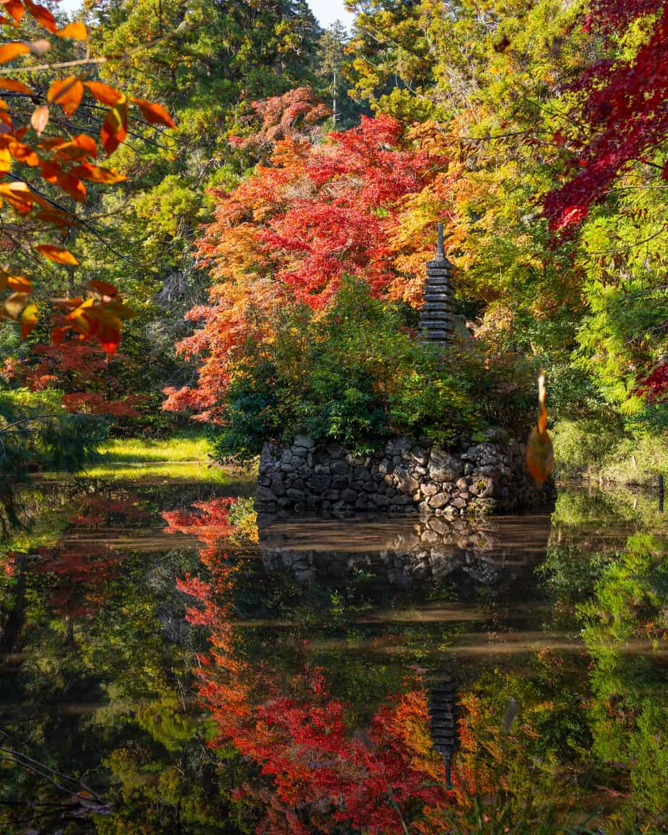 Kyoto, Tokyo