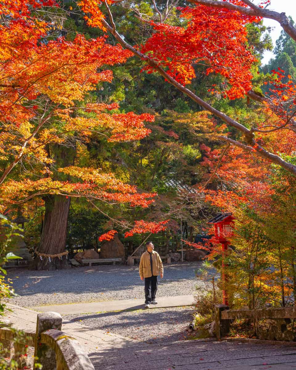 Kyoto, Tokyo