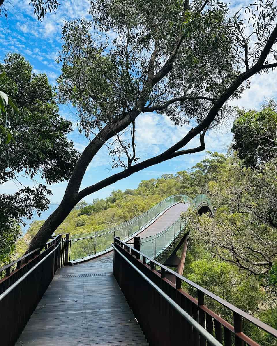 Lotterywest Federation Walkway, Perth Lotterywest Federation Walkway, Perth