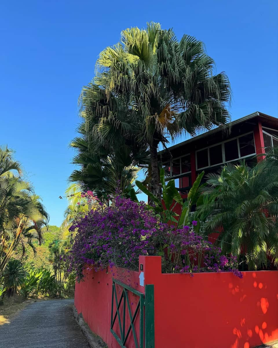 Manuel Antonio National Park, Costa Rica