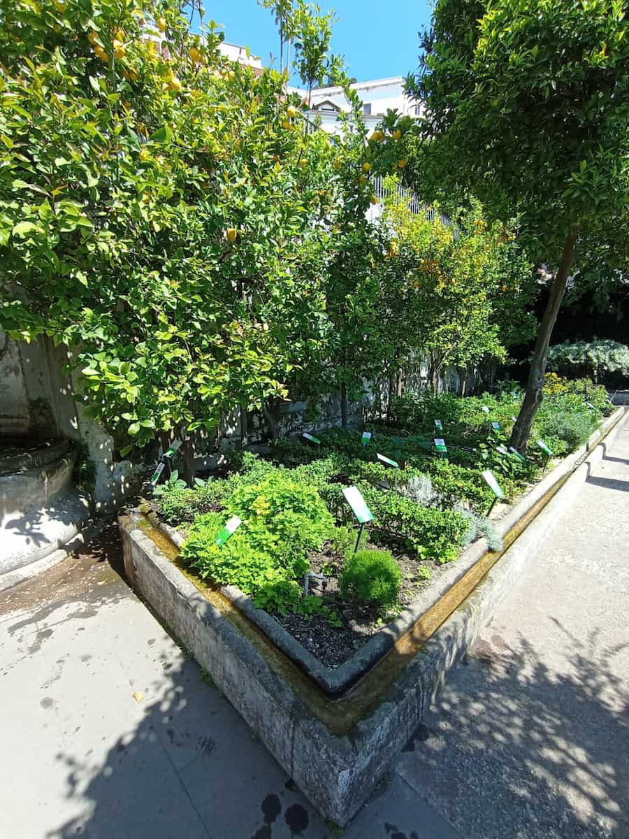 Minervaās Garden Minervaās Garden