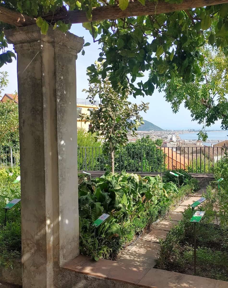 Minervaās Garden Minervaās Garden