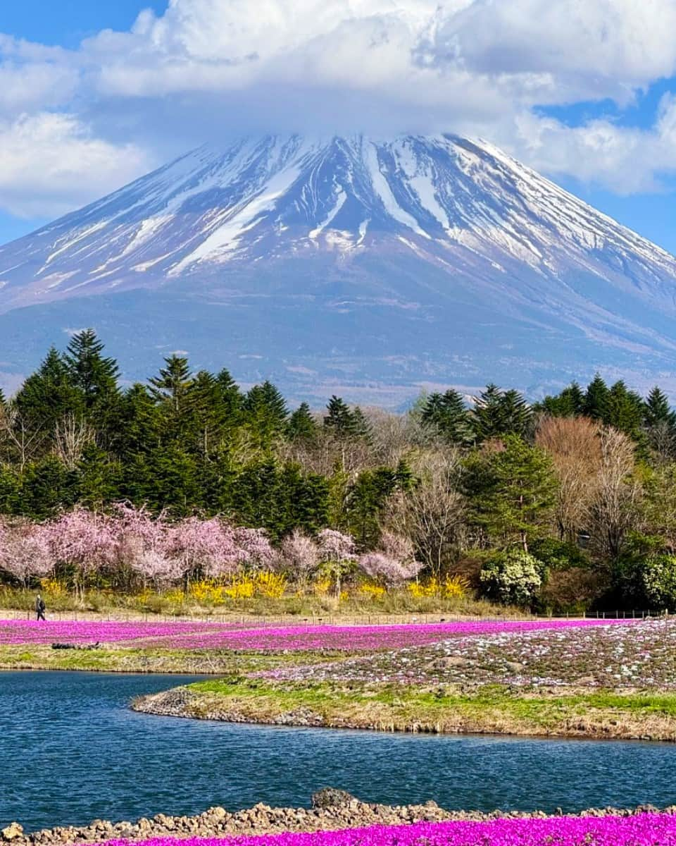 Mount Fuji, Tokyo