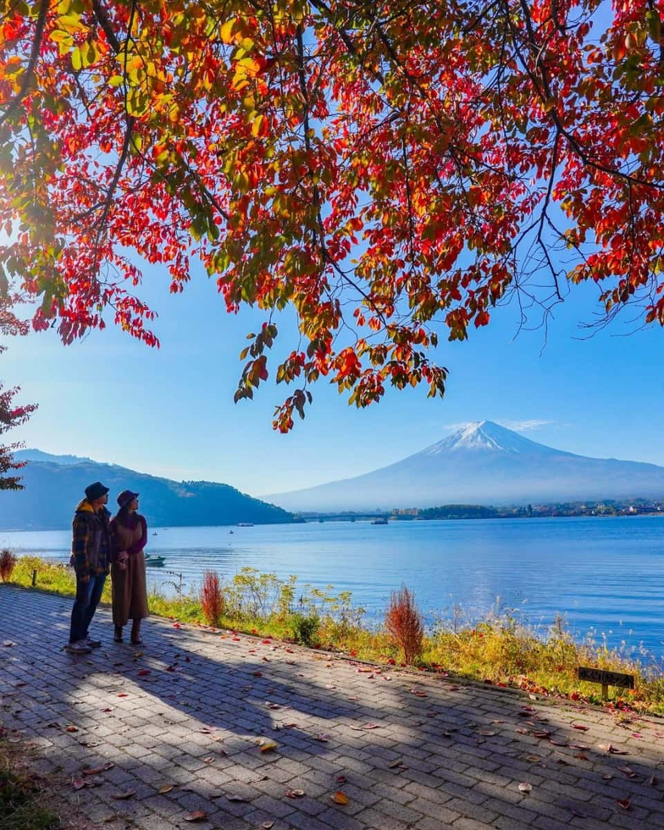 Mount Fuji, Tokyo