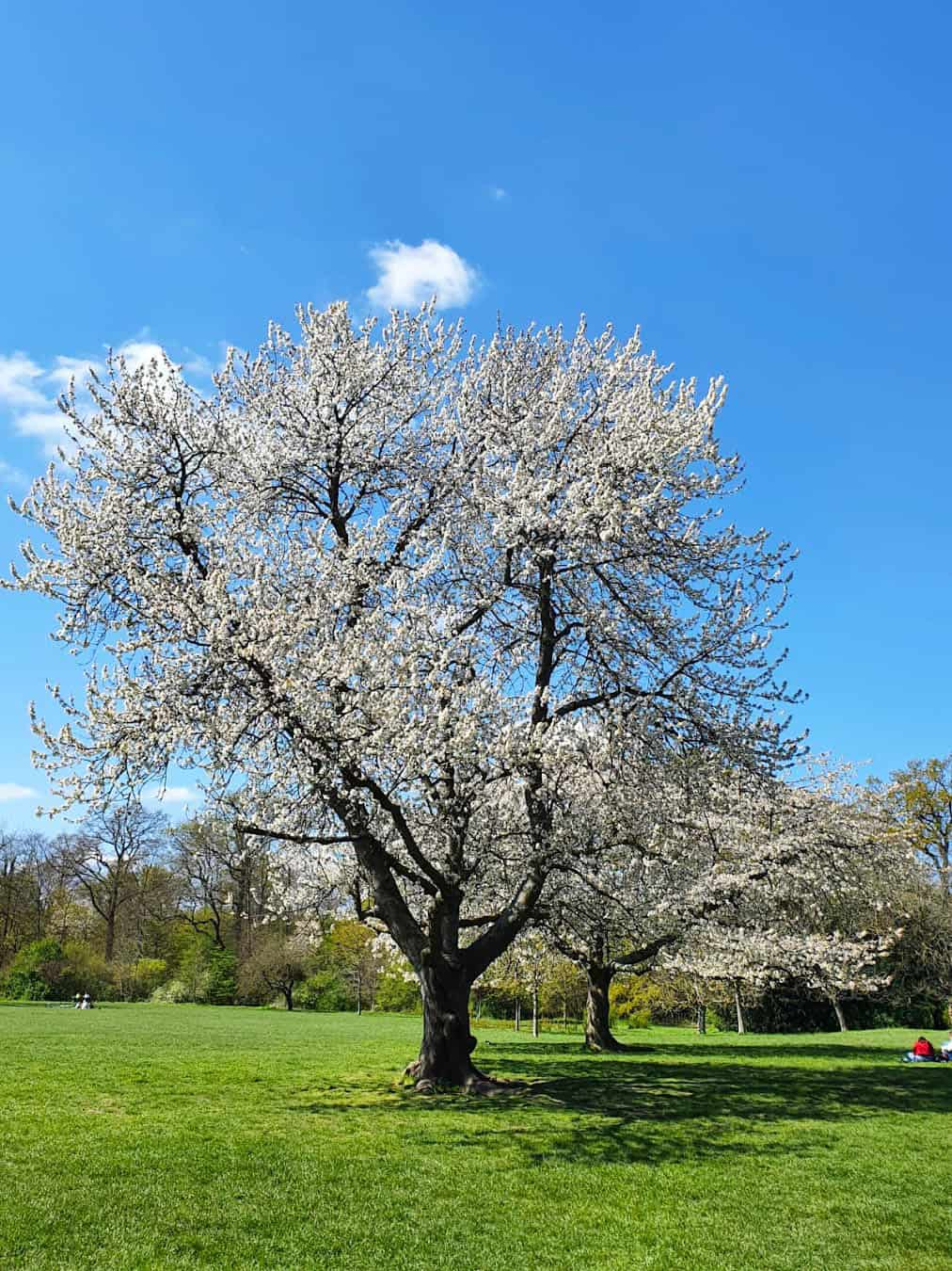 Parc de Sceaux, France