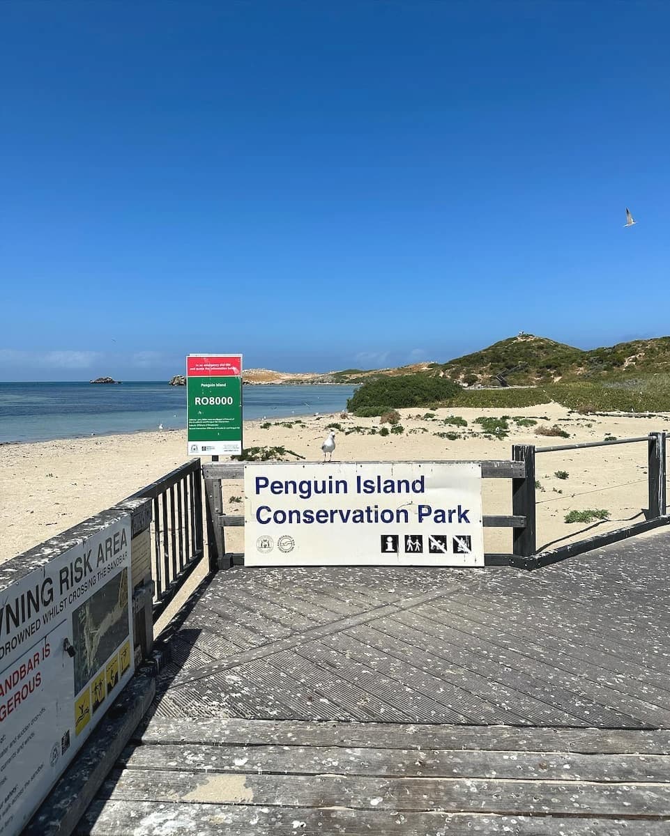 Penguin Island, Petrh Penguin Island, Petrh