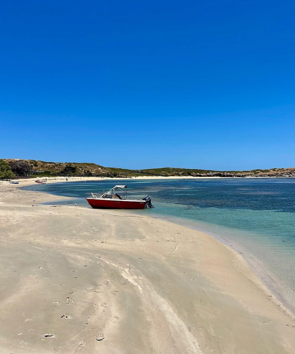 Penguin Island, Petrh Penguin Island, Petrh