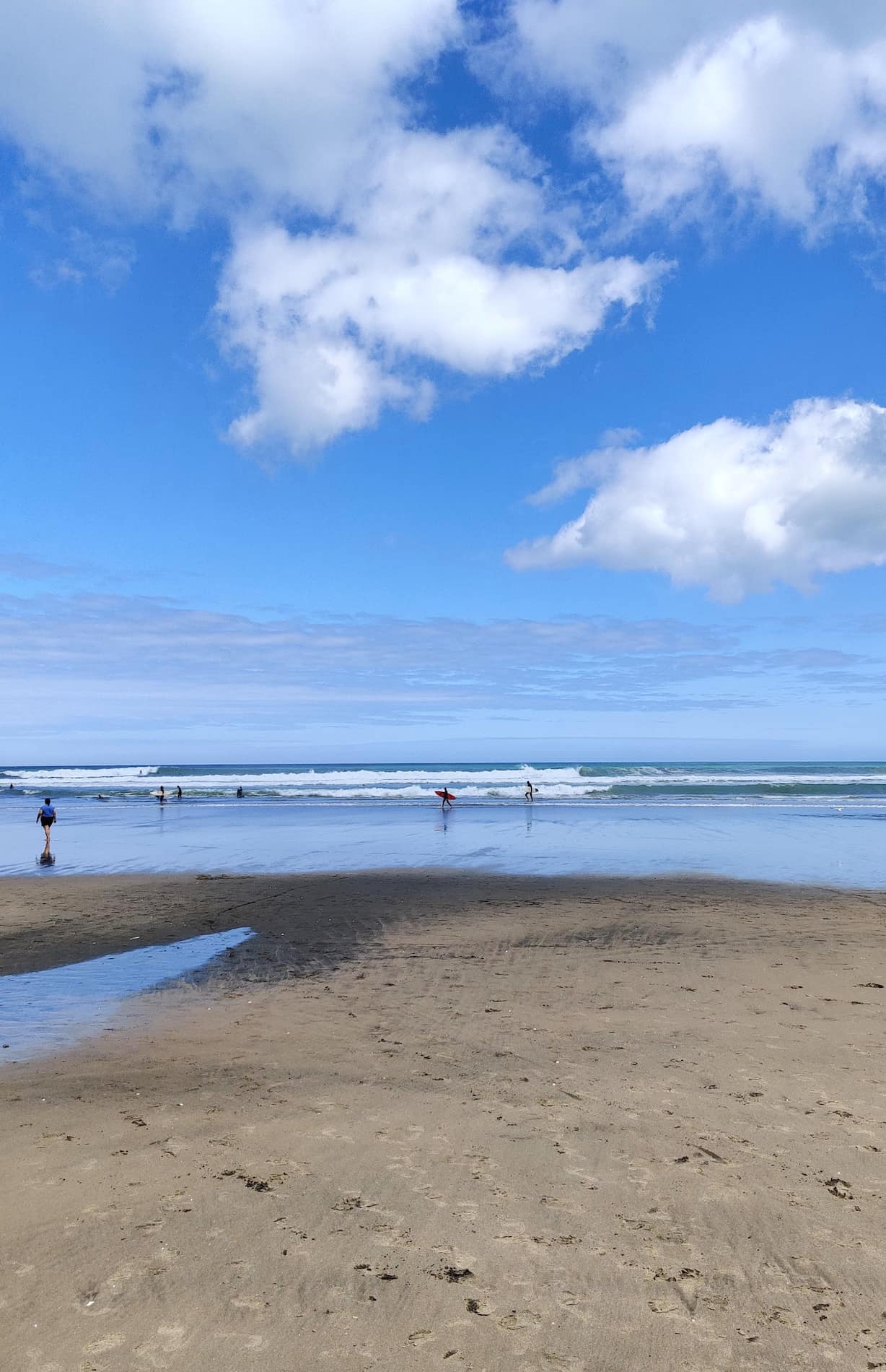 Piha Beach Auckland