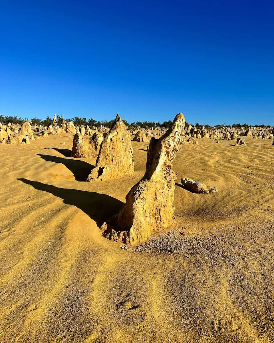 Pinnacles Desert Pinnacles Desert