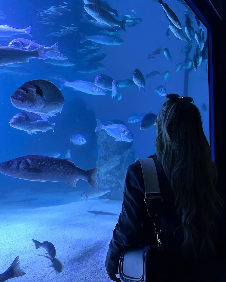 Pula Aquarium, Pula Pula Aquarium, Pula