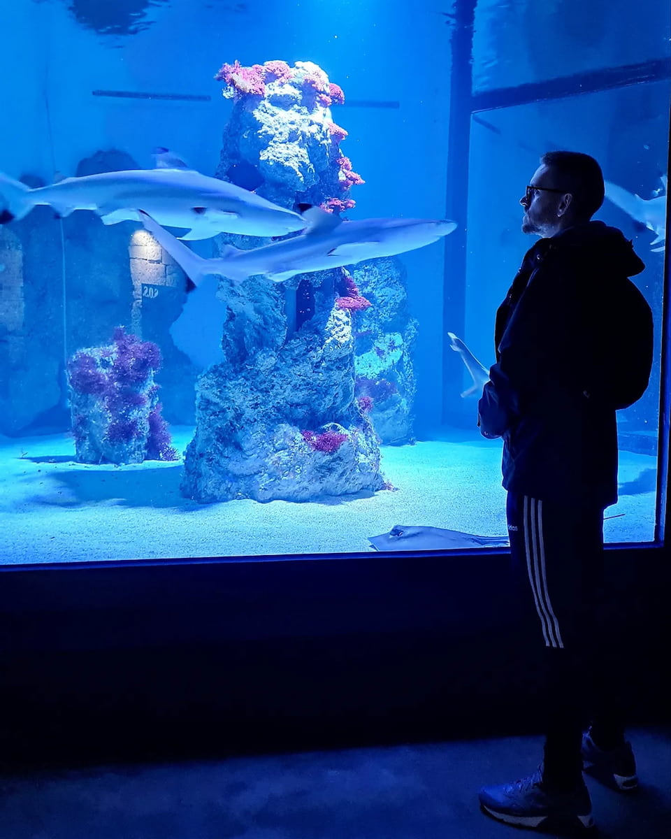 Pula Aquarium, Pula Pula Aquarium, Pula