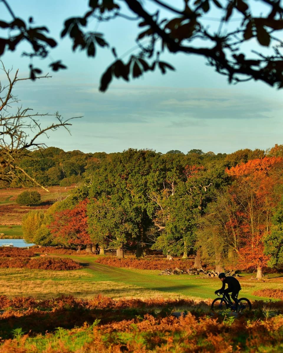 Richmond Park, London