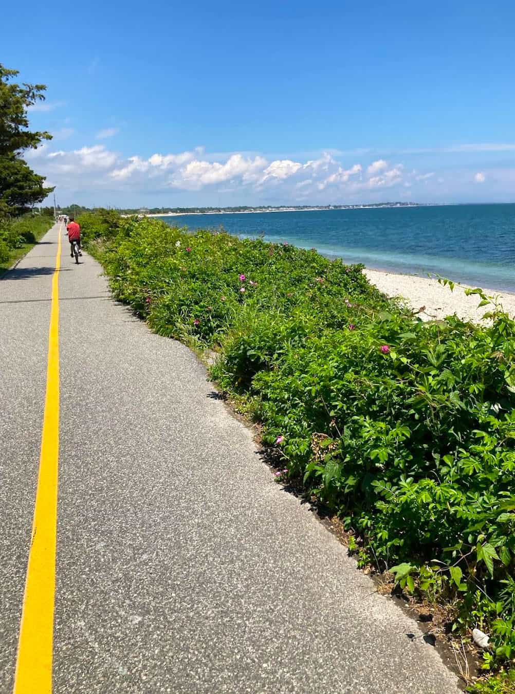 Shining Sea Bikeway, Boston