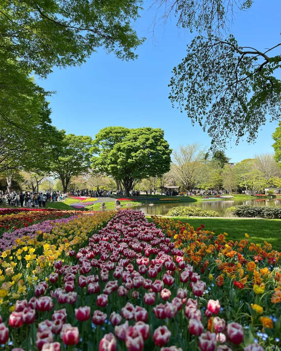 Showa Kinen Park, Tokyo