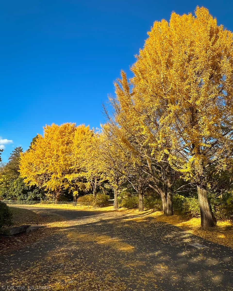 Showa Kinen Park, Tokyo