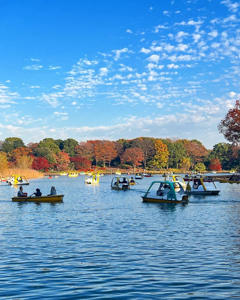 Showa Kinen Park, Tokyo