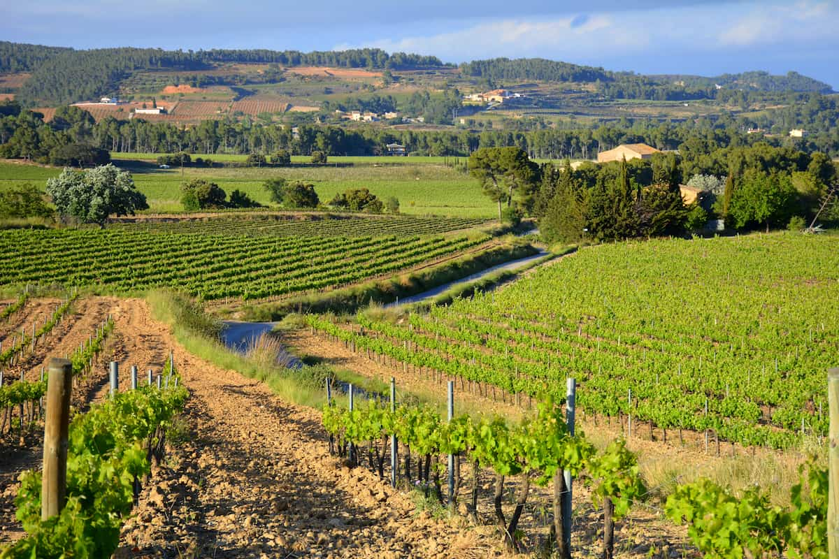 Spain, Penedès