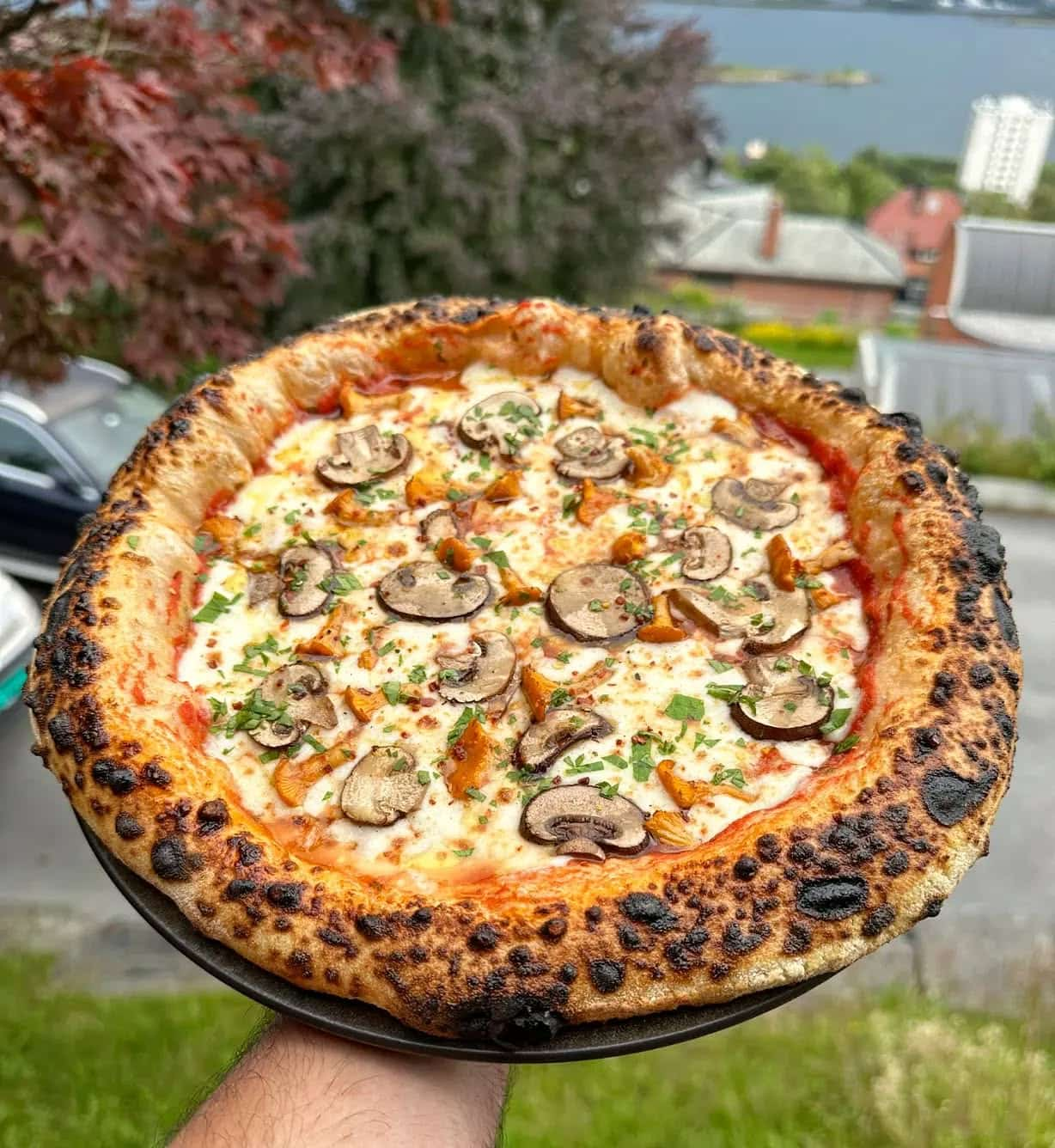 Street Food Scene, Italy