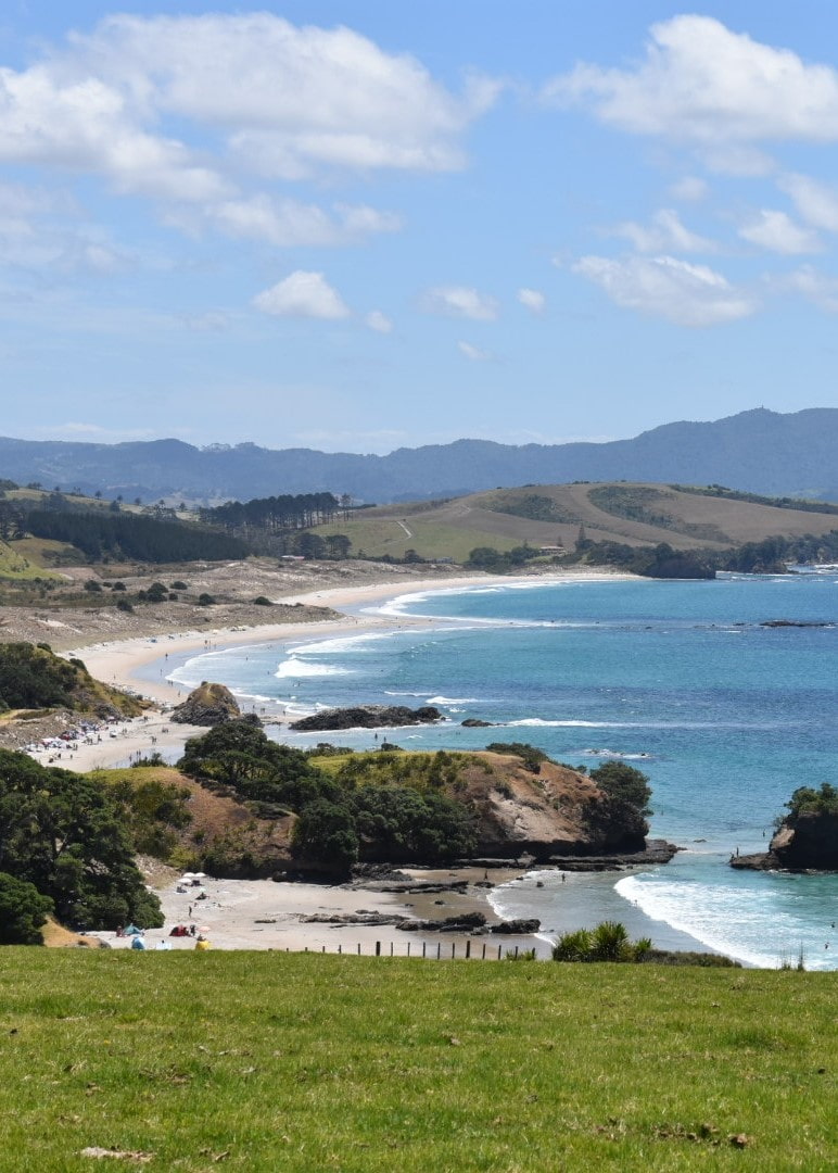 Tawharanui Regional Park Auckland