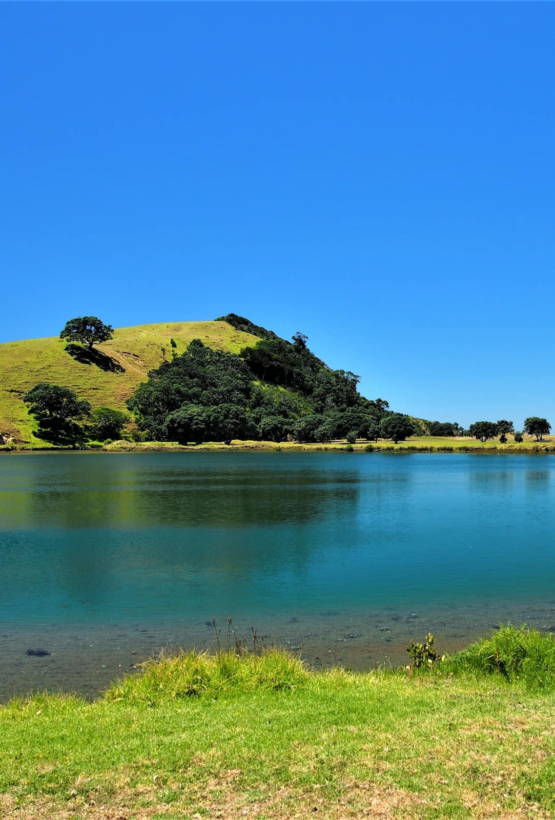 Tawharanui Regional Park Auckland