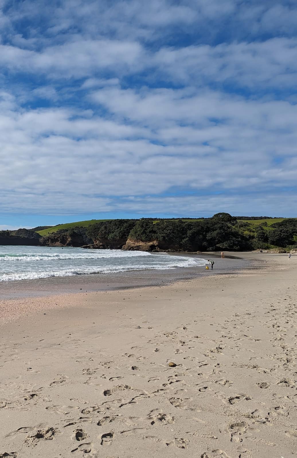 Tawharanui Regional Park Auckland