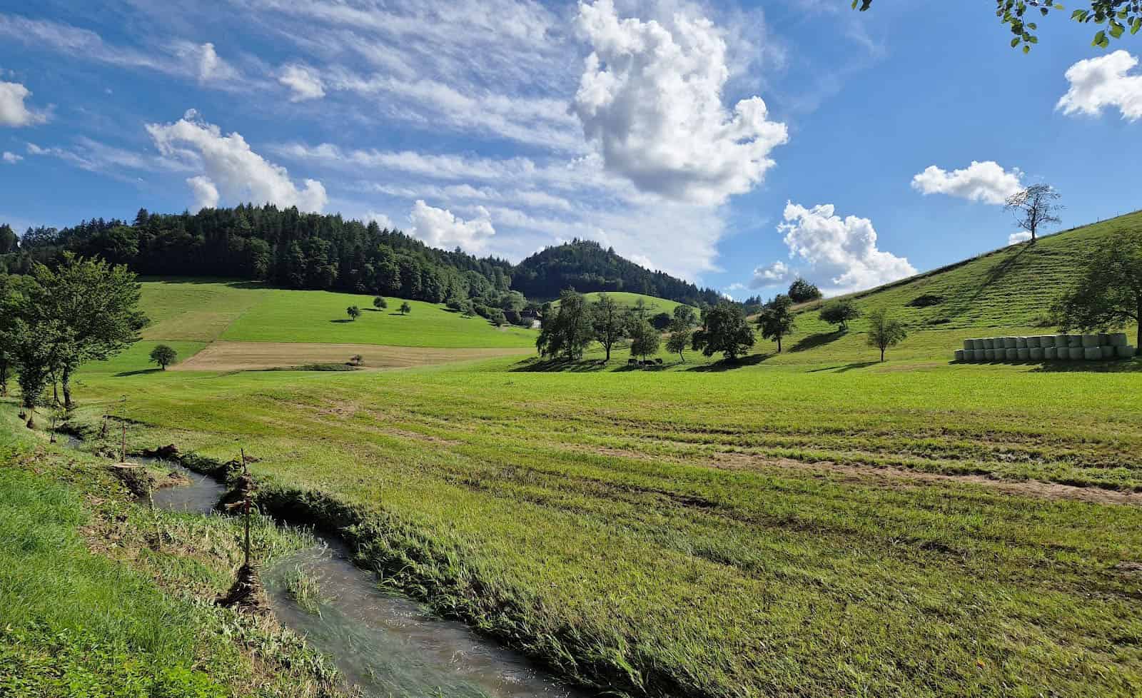 The Black Forest, Germany The Black Forest, Germany