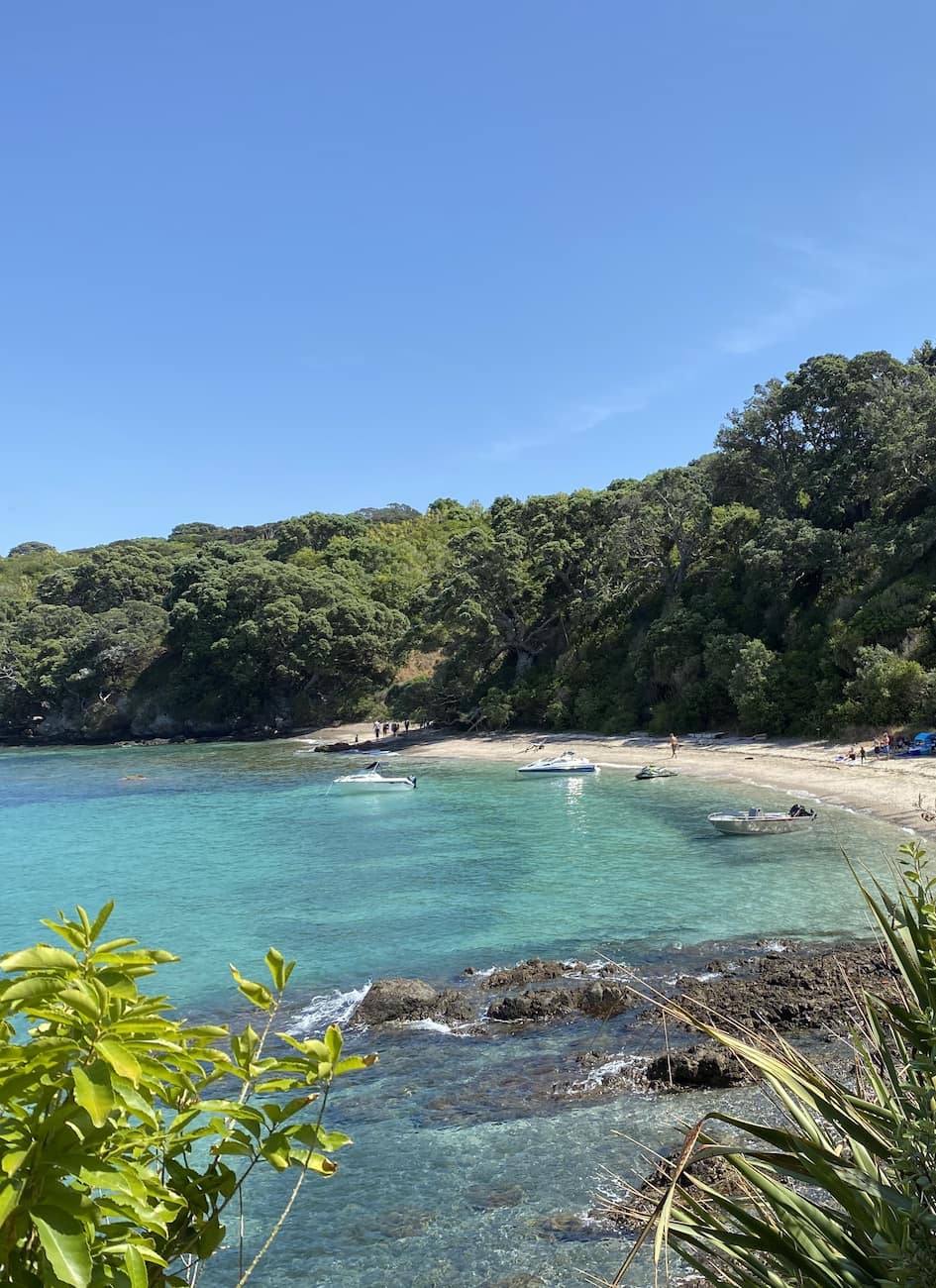 Tiritiri Matangi Auckland