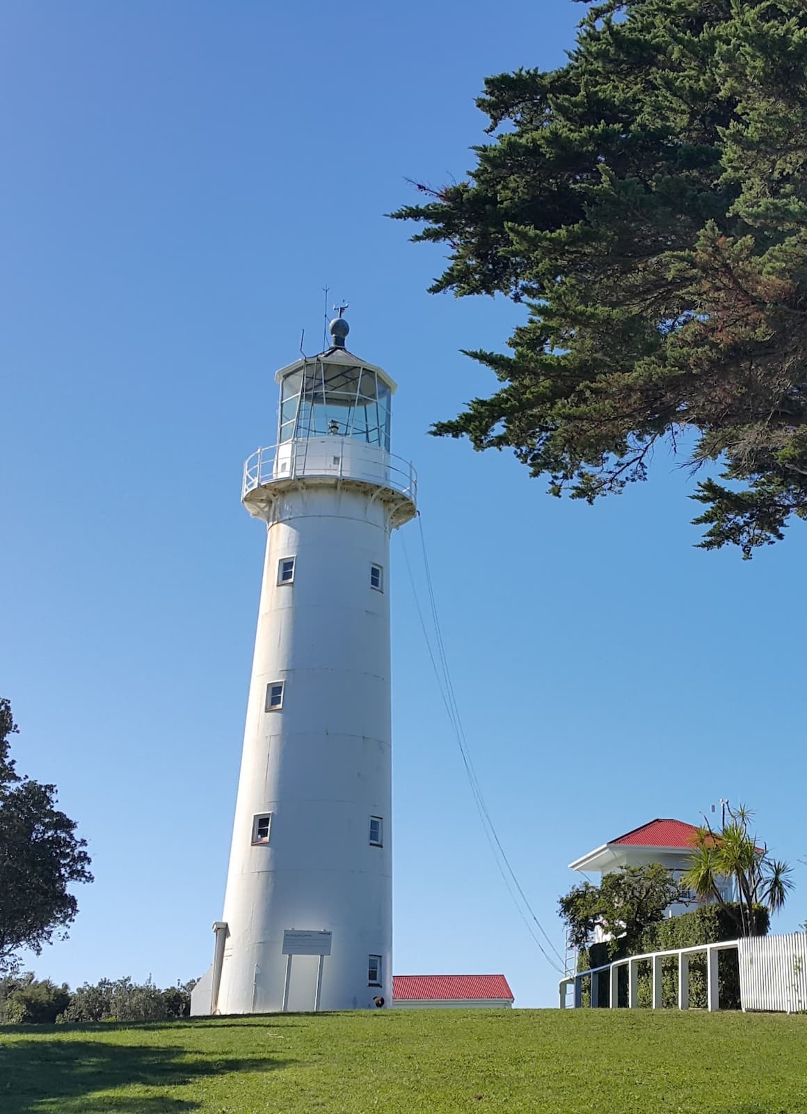 Tiritiri Matangi Auckland